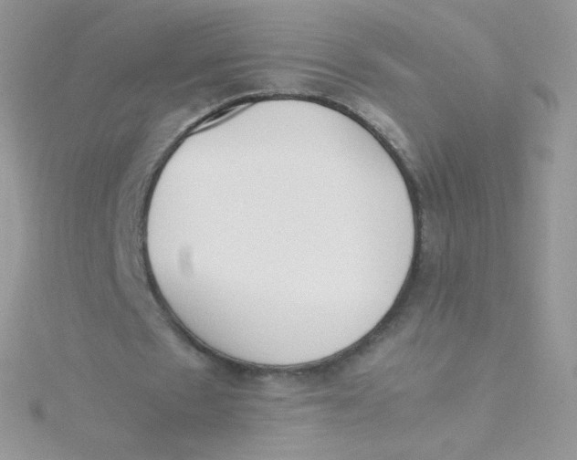 X0000115500481200911271413