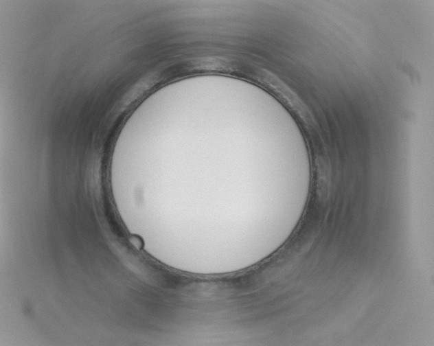 X0000115500482200911271413