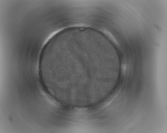 X0000115500484200911271413