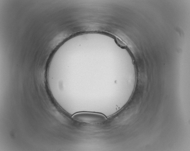 X0000115500485200911271413