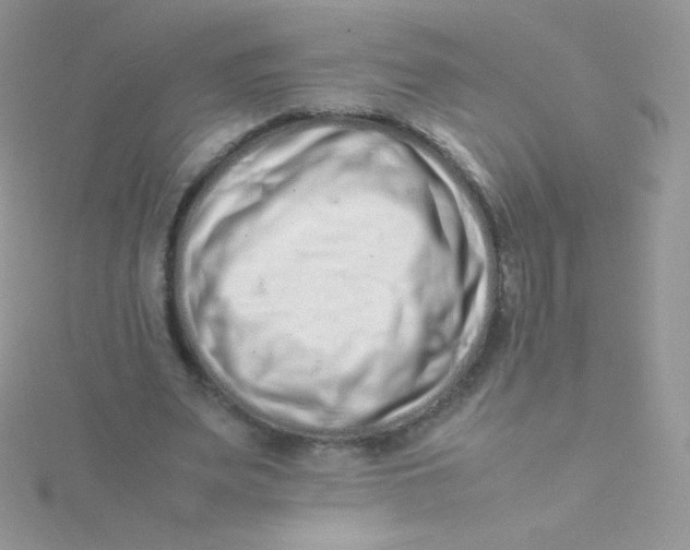 X0000115500487200911271413