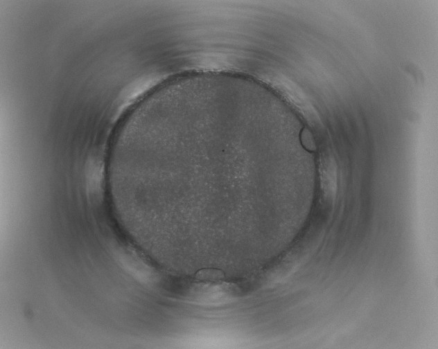 X0000115500488200911271413