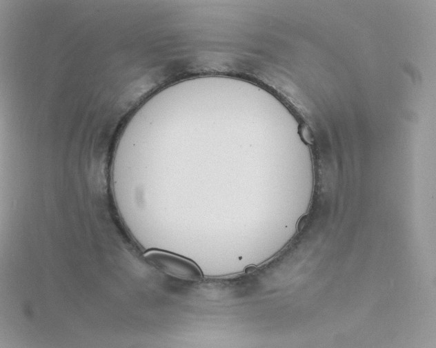 X0000115500489200911271413