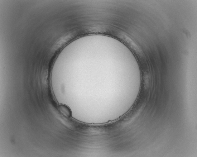 X0000115500490200911271413