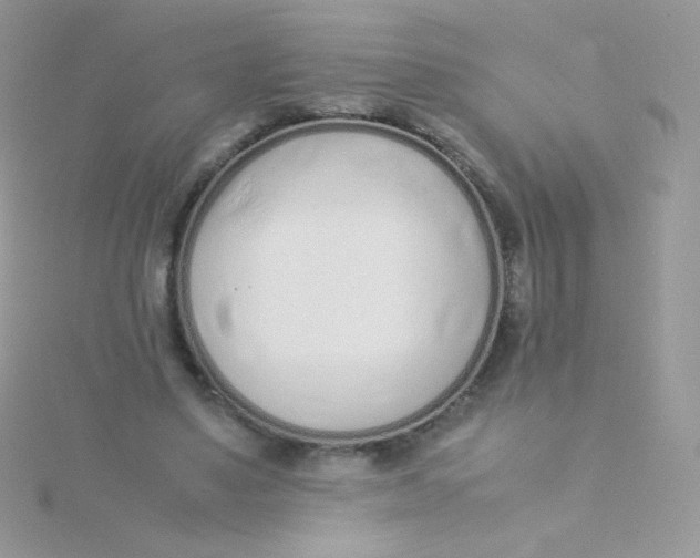 X0000115500491200911271413