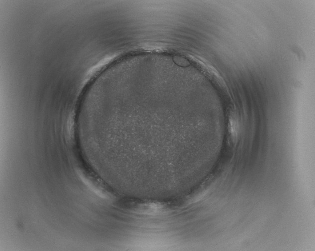 X0000115500492200911271413