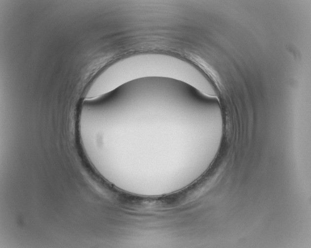 X0000115500493200911271413