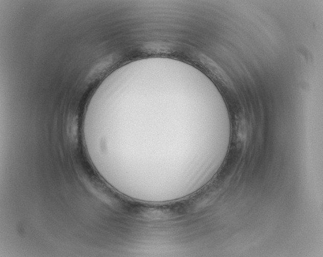 X0000115500494200911271413