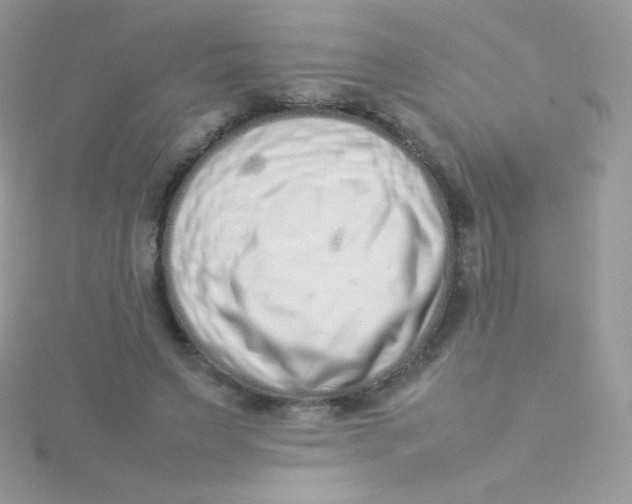 X0000115500495200911271413