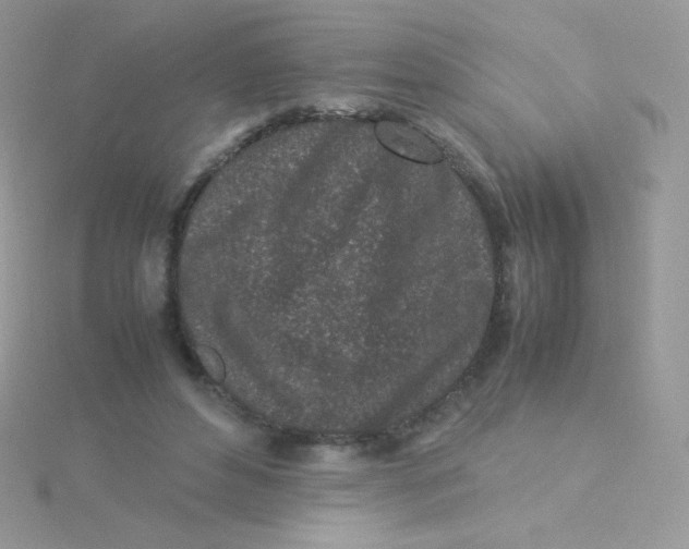 X0000115500496200911271413