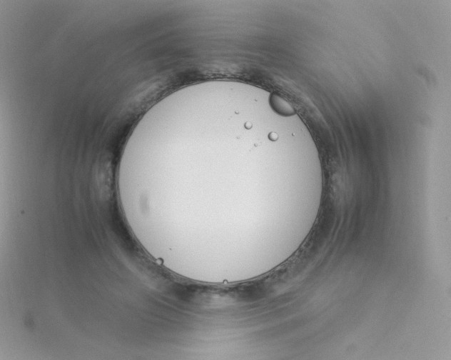 X0000115500498200911271413