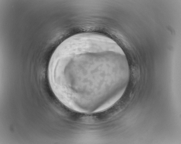 X0000115500499200911271413