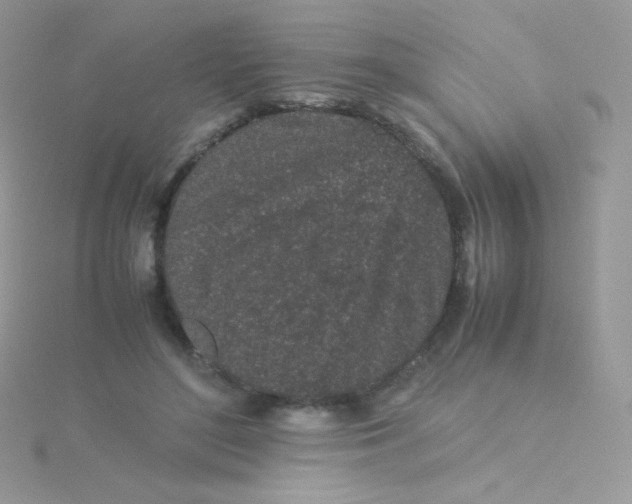 X0000115500500200911271413