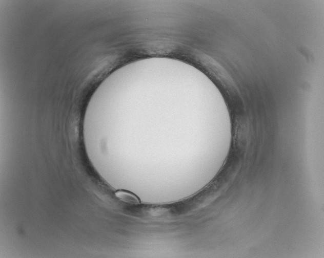 X0000115500501200911271413