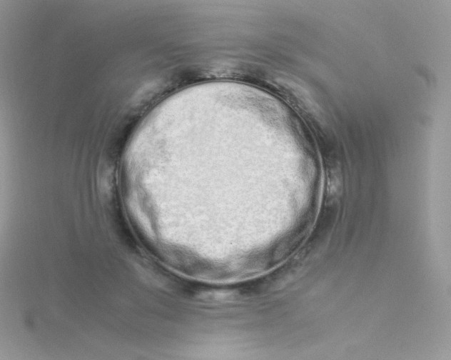 X0000115500503200911271413