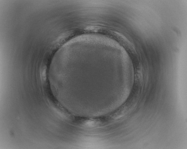 X0000115500504200911271413