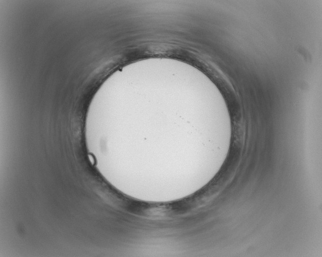 X0000115500505200911271413