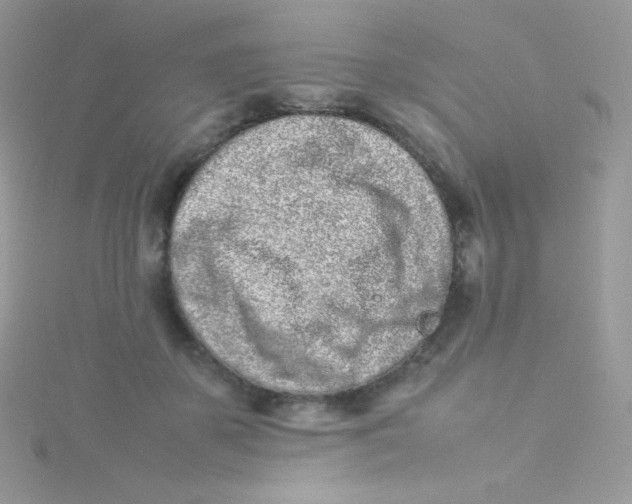 X0000115500507200911271413