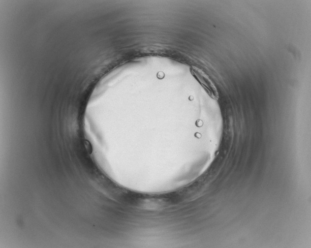 X0000115500508200911271413