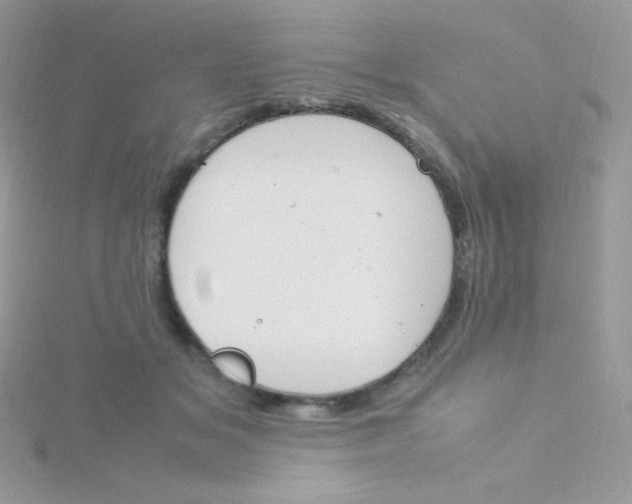 X0000115500509200911271413