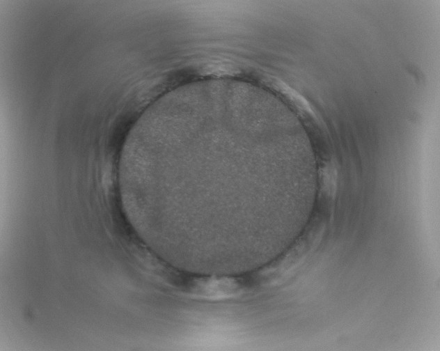 X0000115500517200911271413