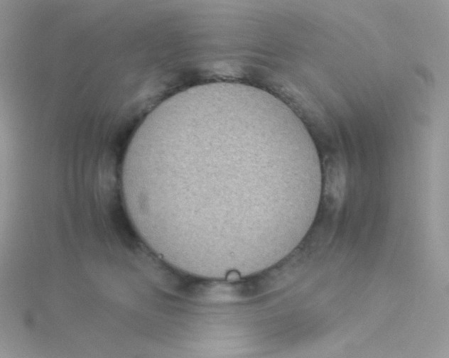 X0000115500518200911271413