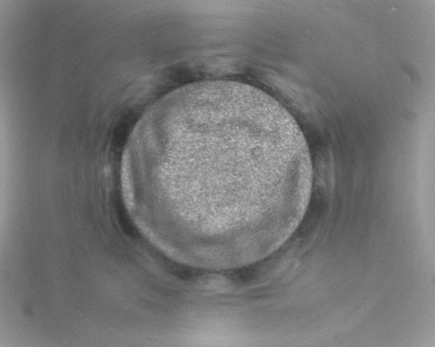 X0000115500519200911271413