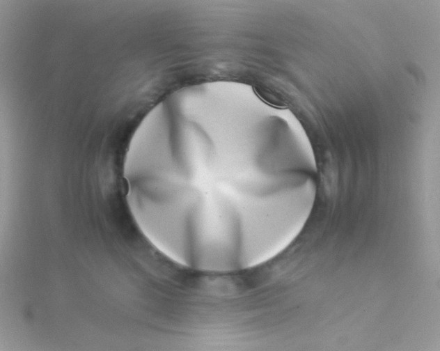 X0000115500520200911271413