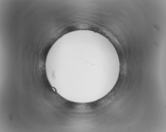 X0000115500521200911271413