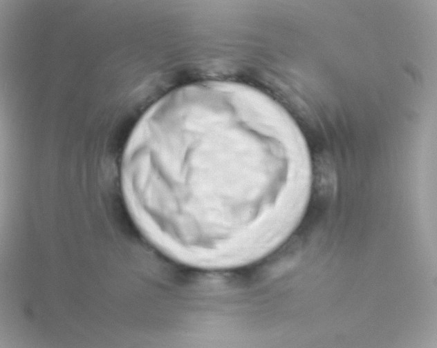 X0000115500523200911271413