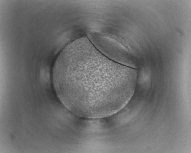 X0000115500524200911271413