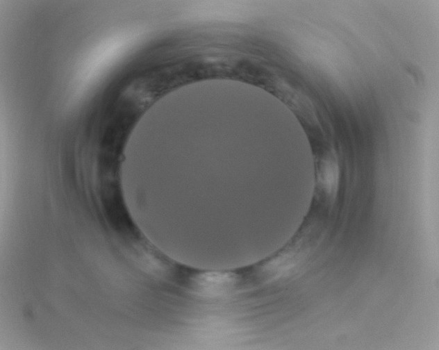 X0000115500526200911271412