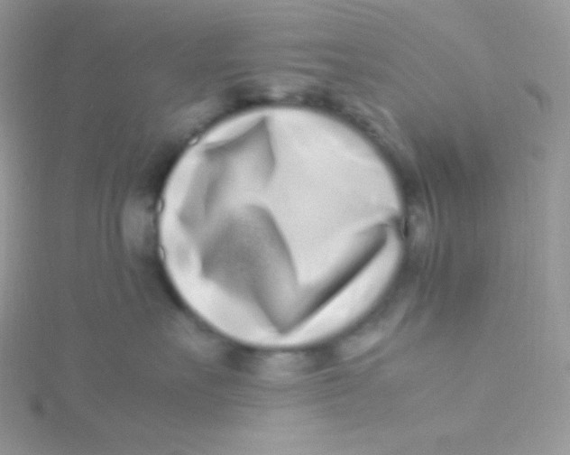 X0000115500527200911271412