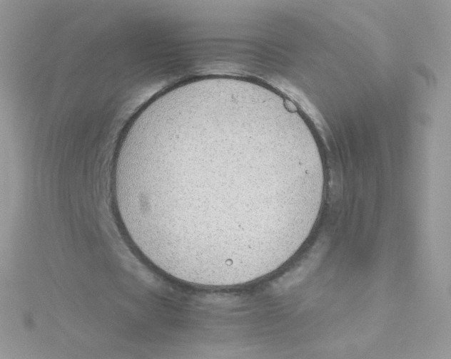 X0000115500529200911271412