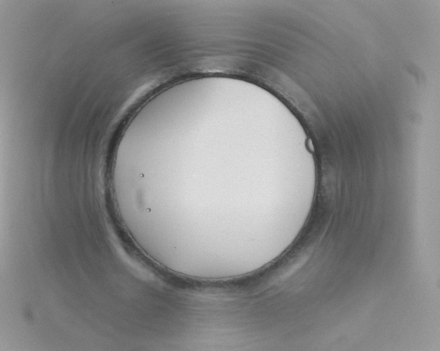 X0000115500530200911271412