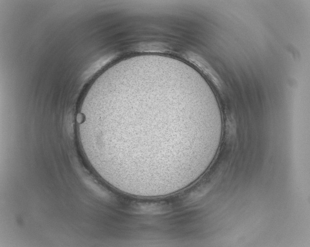 X0000115500533200911271412