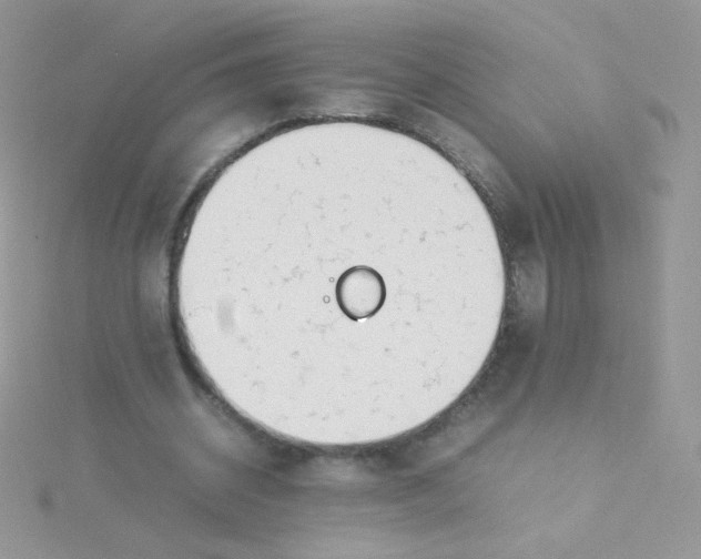 X0000115500534200911271412