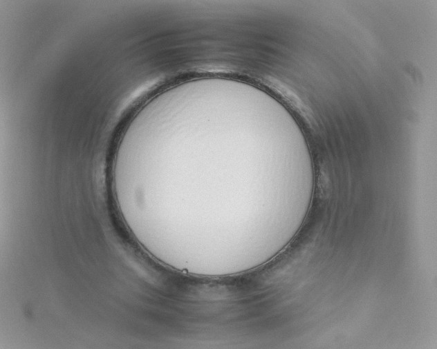 X0000115500535200911271412