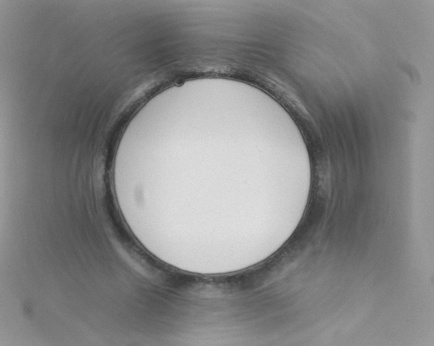 X0000115500538200911271412