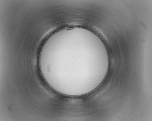 X0000115500539200911271412