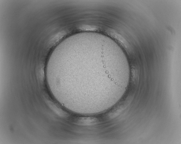 X0000115500541200911271412