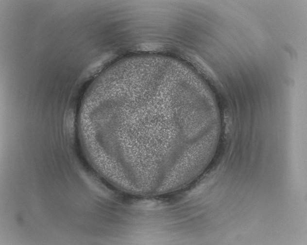 X0000115500542200911271412