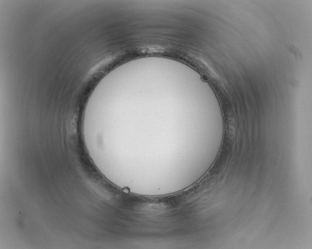 X0000115500543200911271412