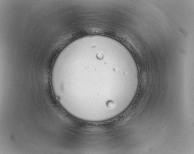 X0000115500545200911271412