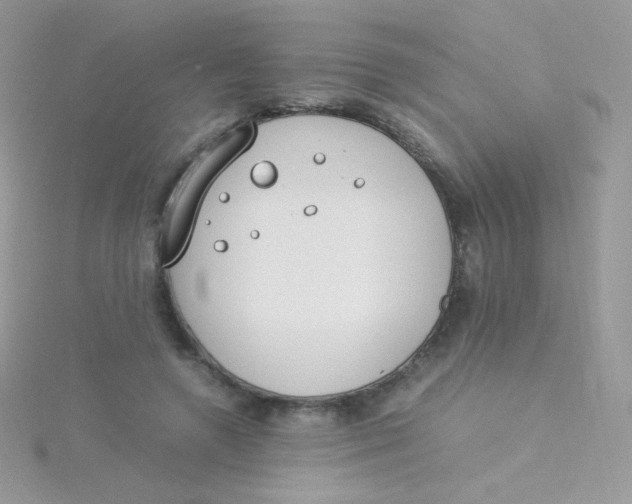 X0000115500546200911271412