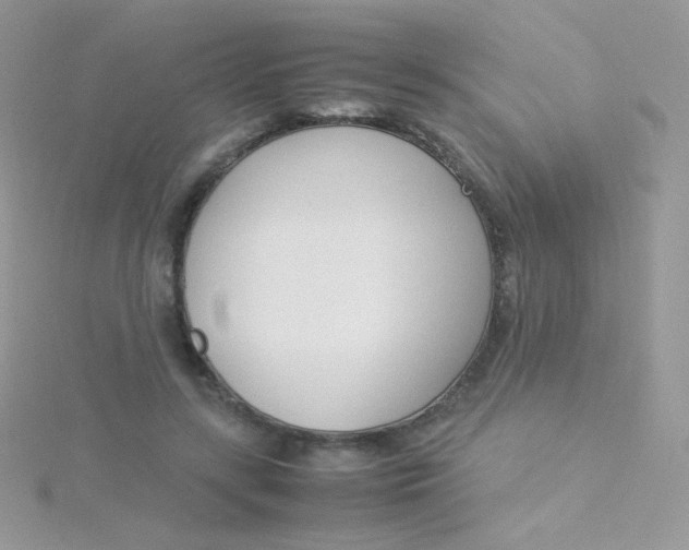 X0000115500547200911271412