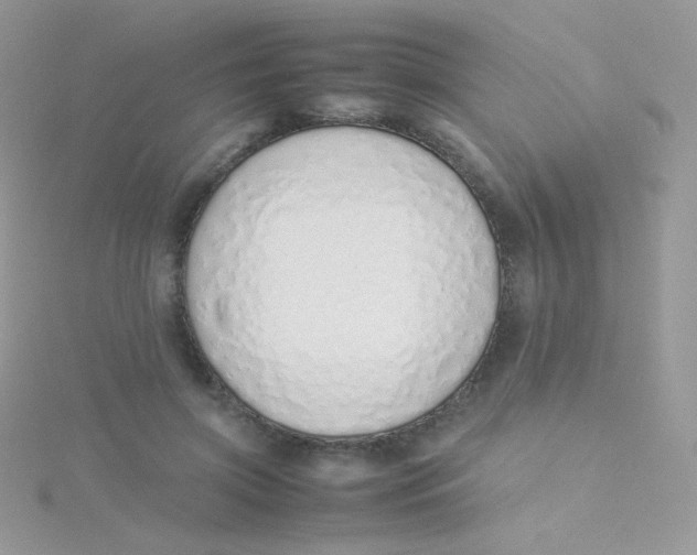 X0000115500549200911271412