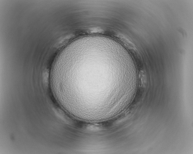 X0000115500550200911271412