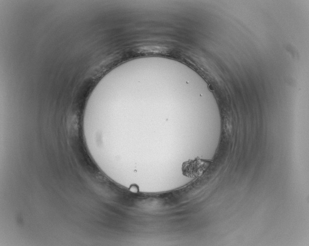 X0000115500551200911271412