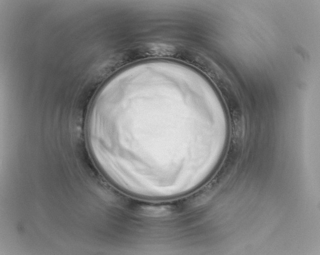 X0000115500553200911271412